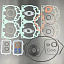 Ремкомплект двигателя BRP Ski-Doo 600HO (420889922) (KINETIX)