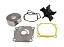 Ремкомплект помпы Suzuki DF100A/115A/140A, Recmar