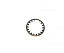 Кольцо T-MAX фиксирующее (для звездочки включения ATV2500-3000)