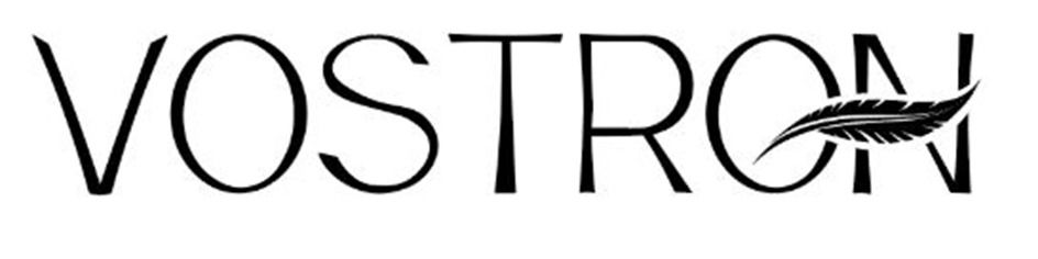 логотип Vostron